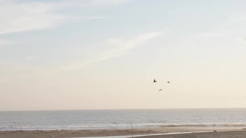 Seagulls flying over water at beach on a cloudy day