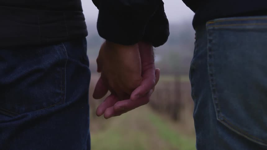 Couple holding hands stands in front of the rows of vines in a vineyard at day time