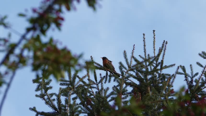 A bird on a tree branch