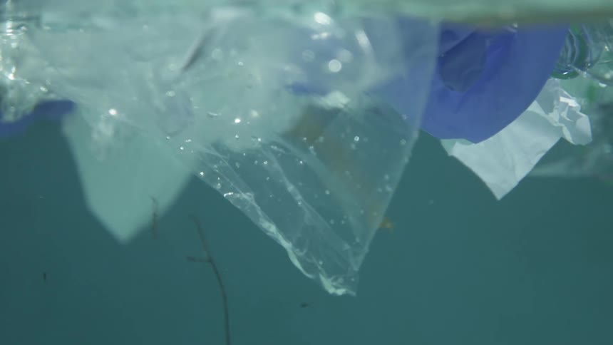Plastic bags float in water near the surface