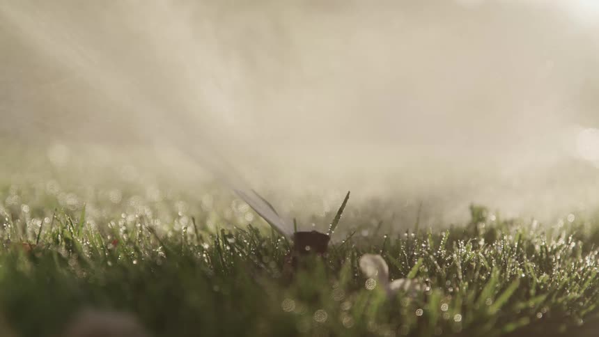 An in ground sprinkler sprays water on the surrounding grass