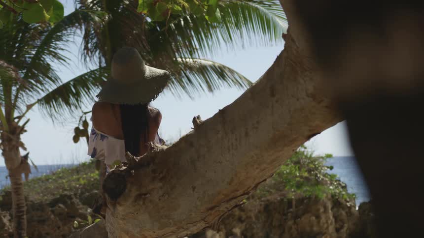 A woman wearing a hat sits on a tree limb on a beach overlooking the ocean and palm trees
