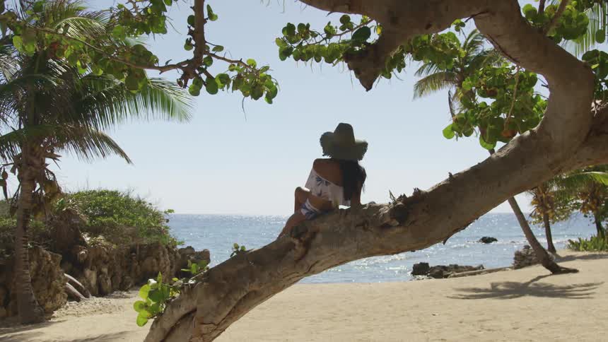 A woman is relaxing and looking out at the ocean as she reclines on tree trunk at the beach