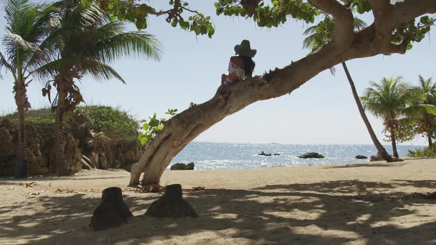 Woman wearing a sun hat reclines over a tree on the tropical beach at day time