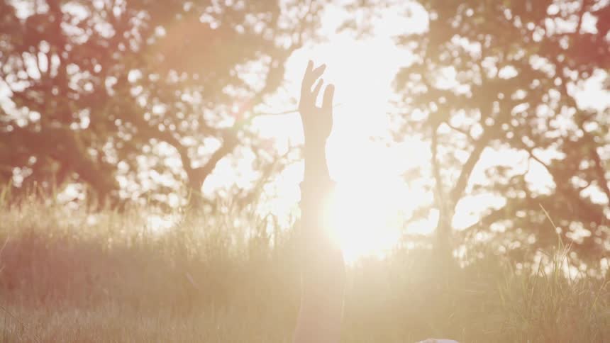 Hand of a young woman laying on the tall green grass waving in front of the sun