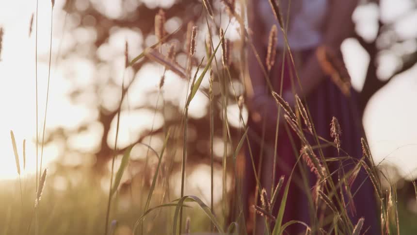 A woman stands with her hands clasped together in a field near a large tree