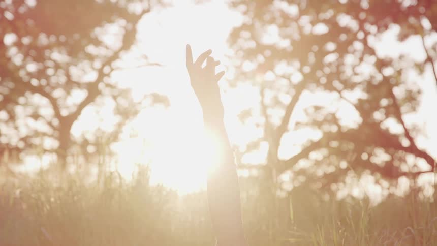 A person reaches up their arm out of the grass