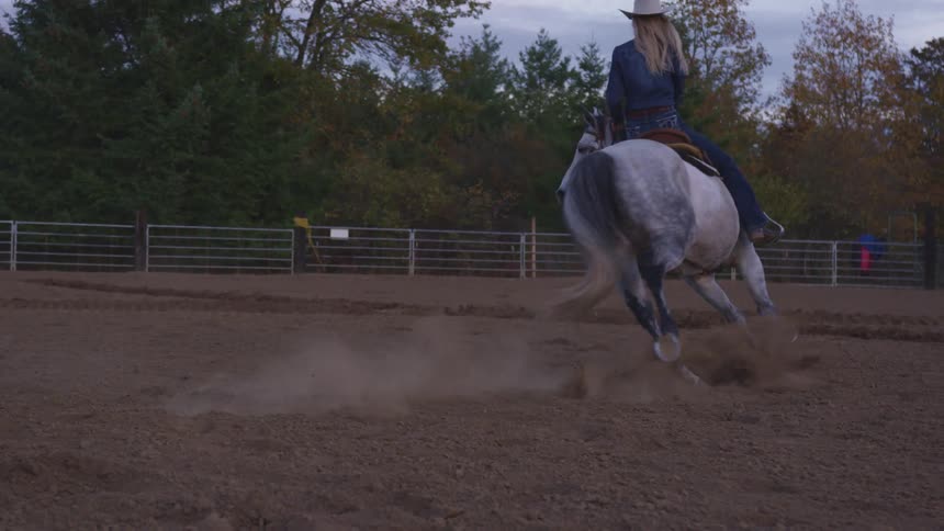 A woman riding a horse in an arena