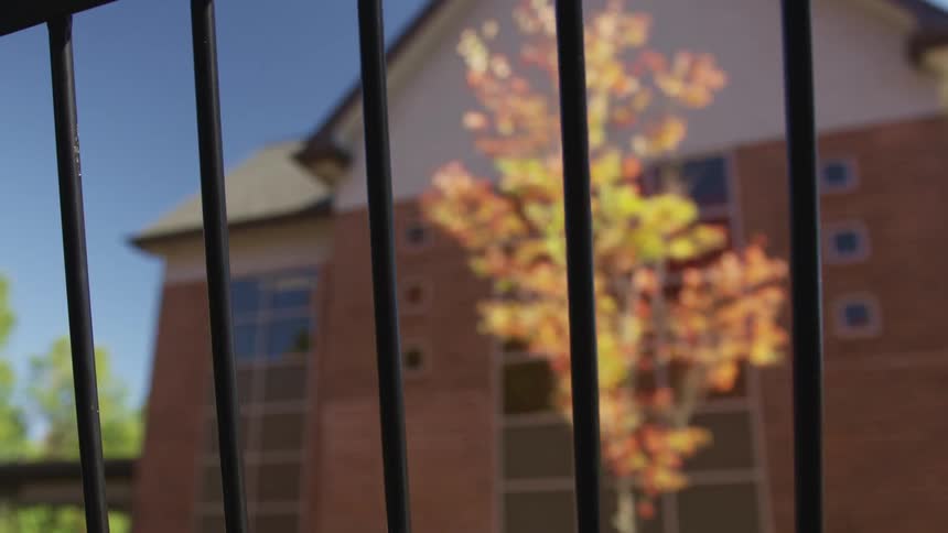 Bars cover a window that shows trees and buildings passing by it