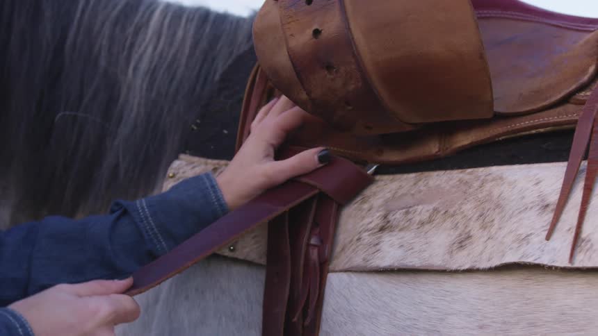 A woman is fastening a saddle to a horse