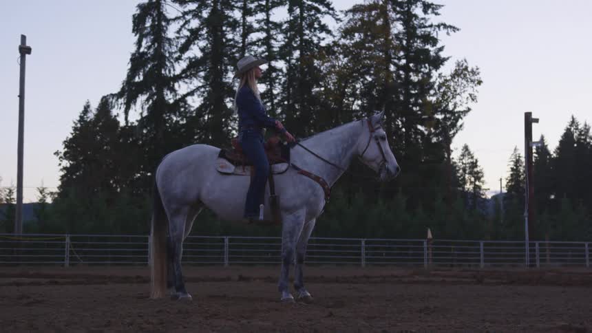 A woman sitting atop a horse