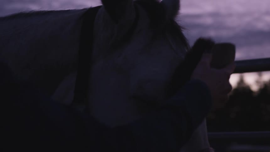 A woman is brushing a horse outdoors at dusk