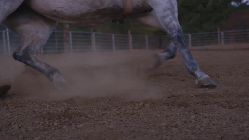 A person rides a horse in a fenced in corral with a dirt ground