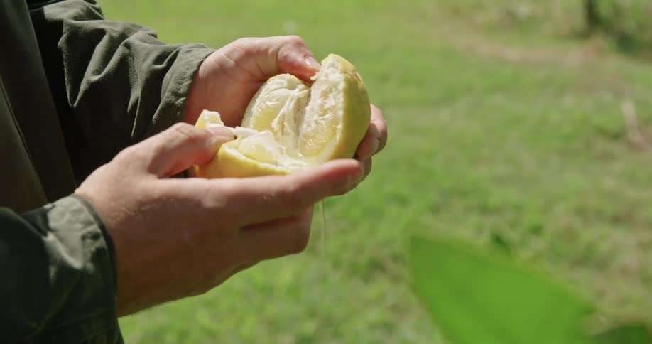 A man opens an orange with his hands on a field at day time
