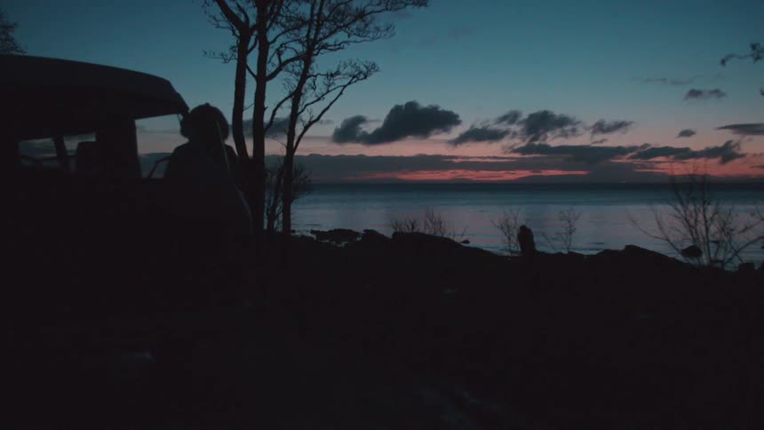A person walks up to a van parked on the roadside by a body of water and walks away at dusk