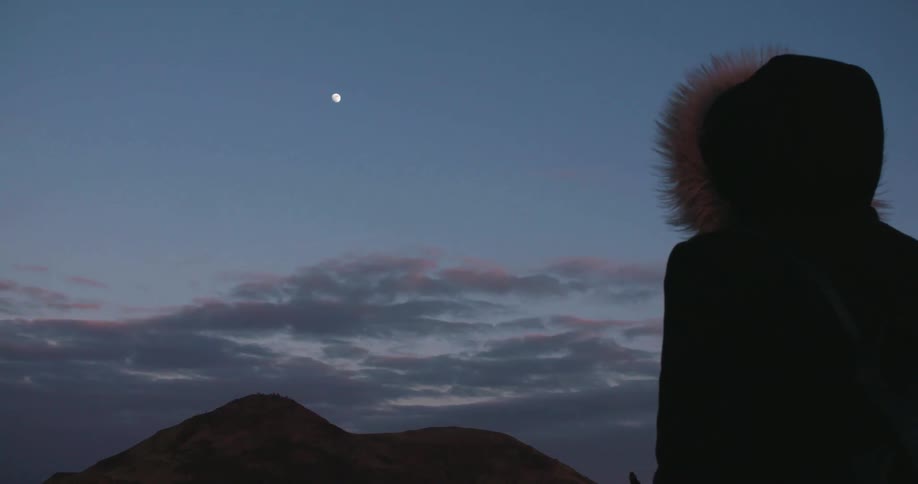 A person wearing a winter coat is watching a sunset