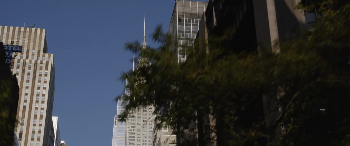 Skyscrapers line a road in a metropolis on a sunny day