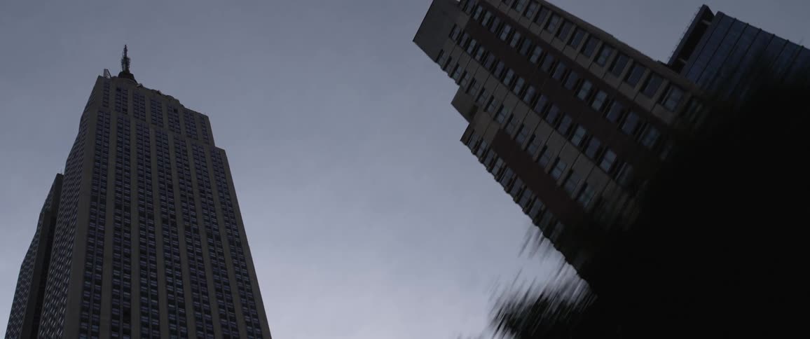 Skyscrapers along a street in a metropolis during the day