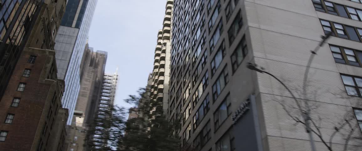 Bare trees sit outside a tall apartment building downtown near a traffic light