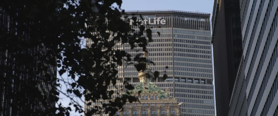 Tree branches blown by wind obscure ornate building towered over by skyscrapers