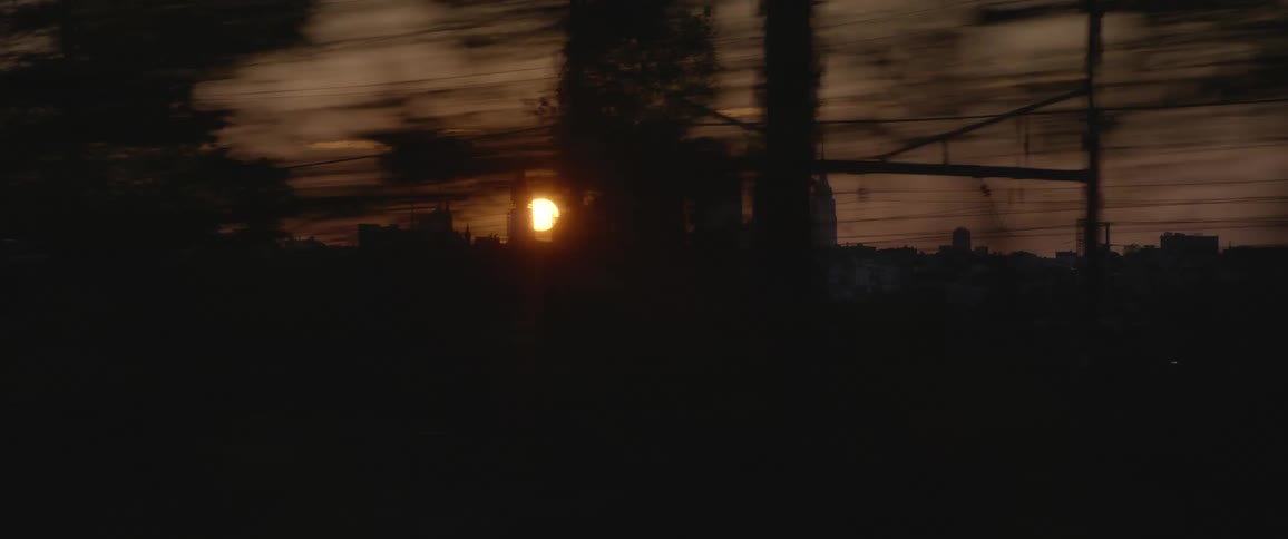New york city downtown skyline at sunset behind electric poles and trees