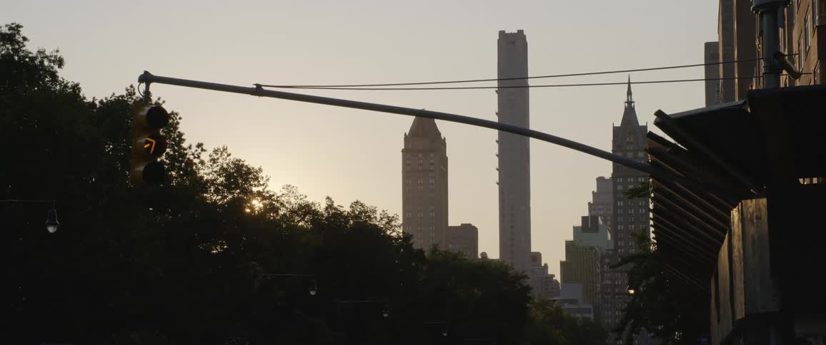 City view of buildings traffic light and trees during the day