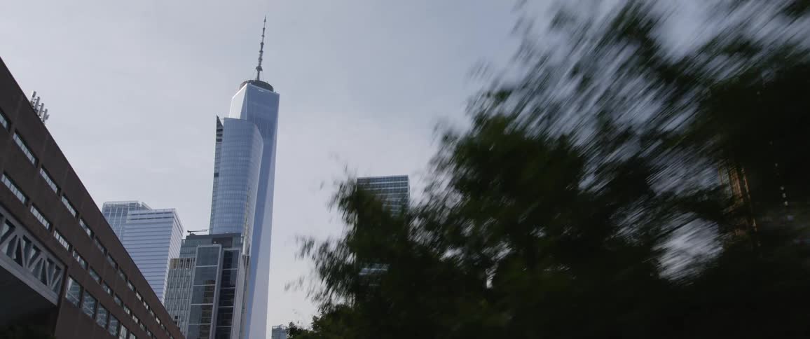 Skyscrapers are revealed while moving down a street lines with trees