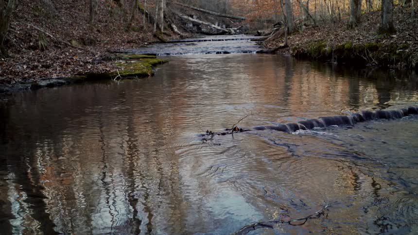 Stream flows along a fixed route in the woods