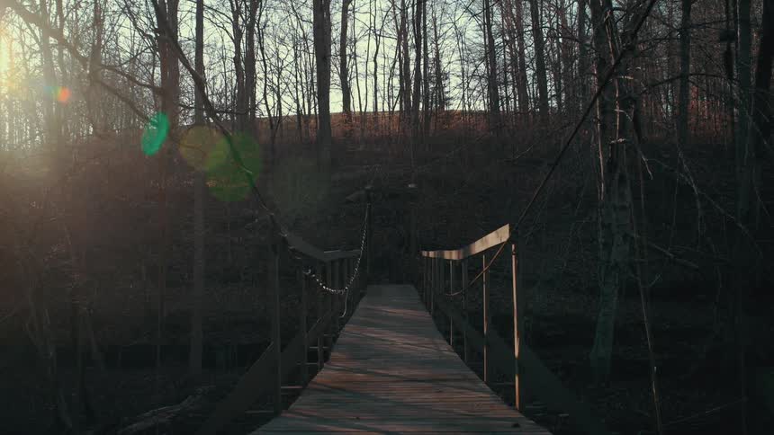 Sunlight shining on a bridge in a forest with bare trees