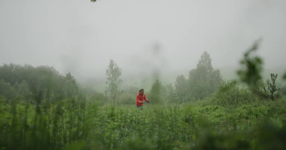Man wearing orange jacket is hiking through grassy field with a pole in each hand and many trees and plants around on a foggy day