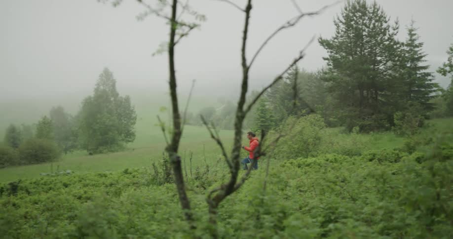 Man wearing an orange jacket is walking through tall grass with many trees and bushes around on a foggy day
