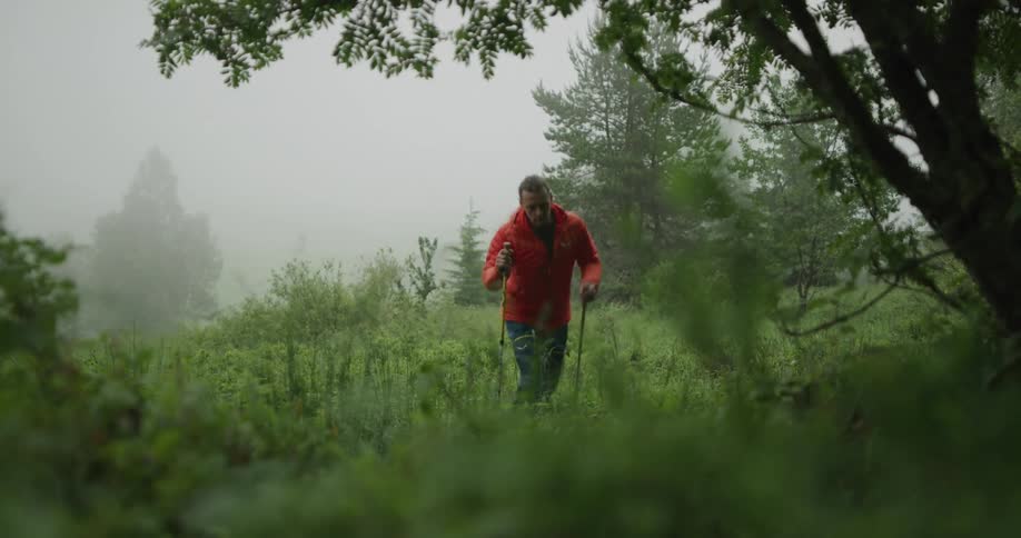 Man hikes through field dotted with trees on foggy day