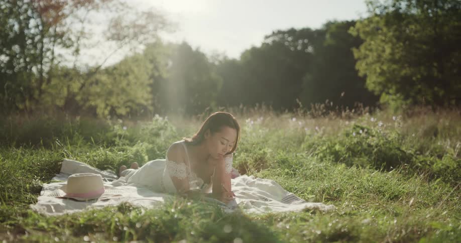 A woman in a dress lays in a meadow on a blanket reading a book
