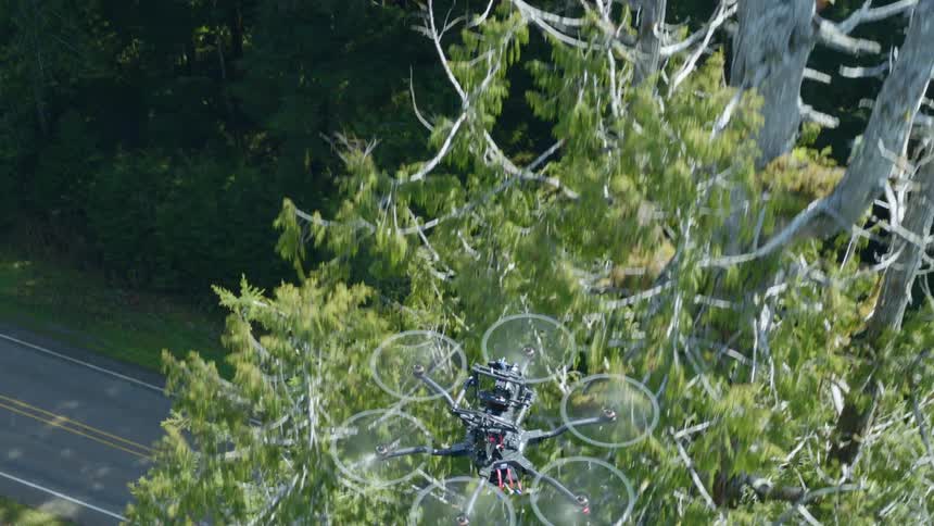 Air to air rise of a drone ascending along a tree as it prepares to fly along a roadside navigation route