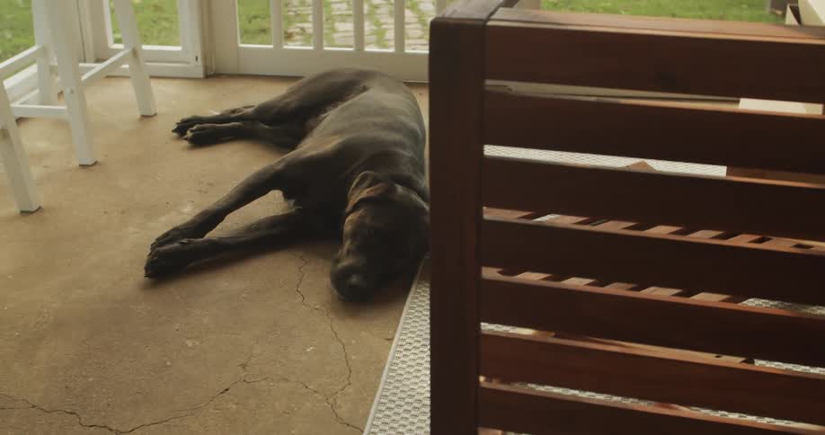 A brown dog lies on the floor sleeping on a porch during the day