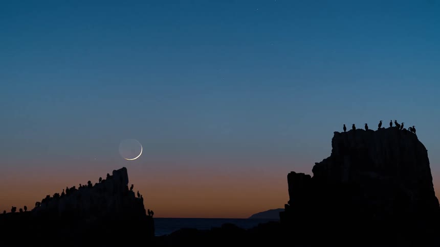 Moon setting and many birds sitting on rocks