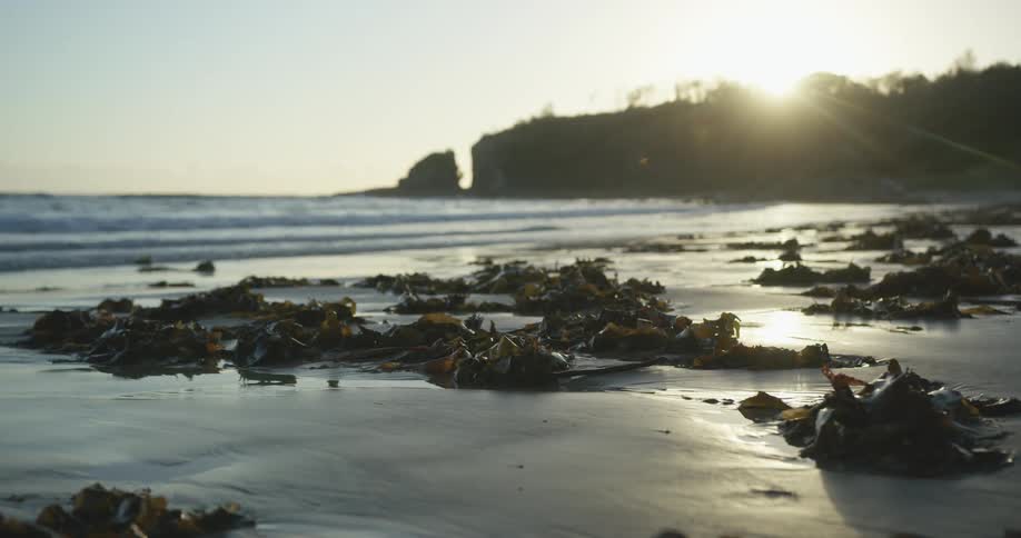 Sunlight shining down on a beach covered in seaweed