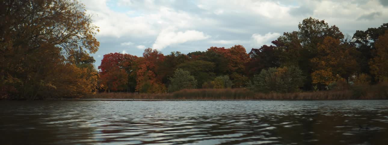 A river flowing slowly past trees and tall grass in the fall on a sunny day