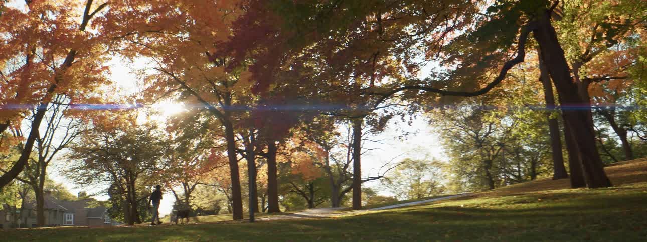 A man walks a dog along a walkway through a public park in a city neighborhood on an autumn day