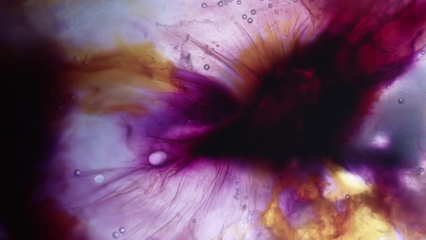 Liquid colorful ink in water forming abstract patterns blooming