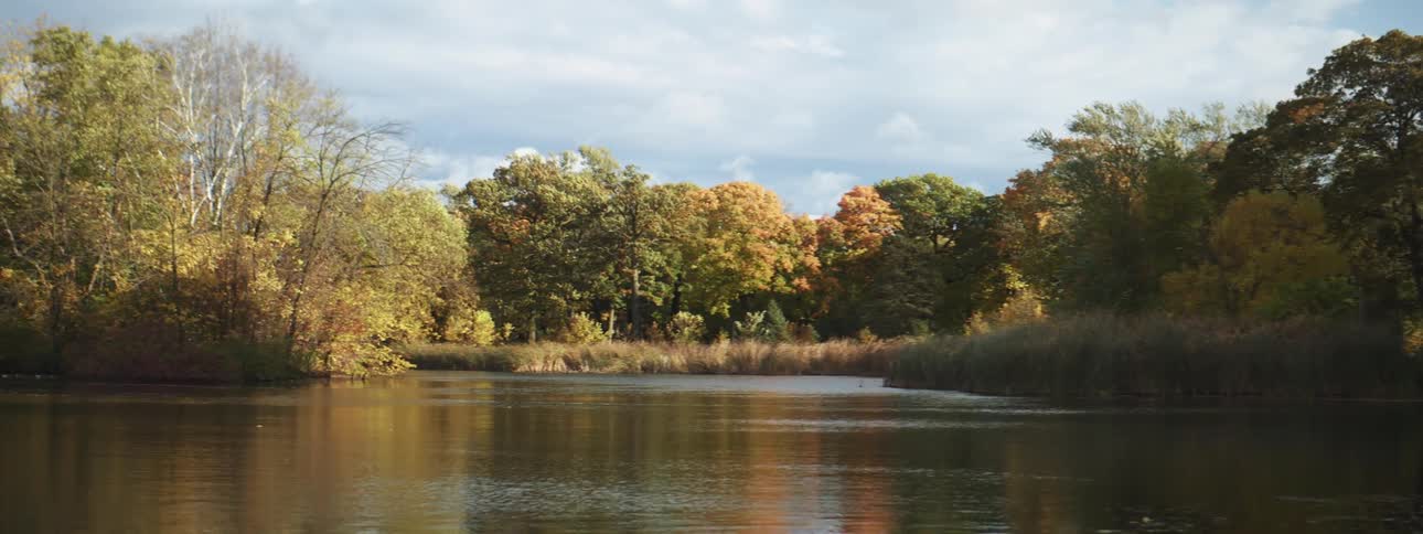 River surrounded my forest trees with fall colored leaves on a cloudy day