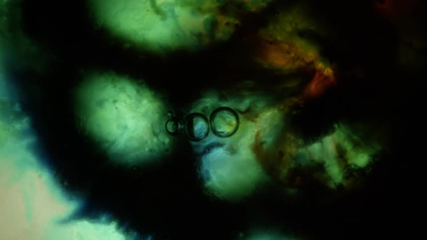 Green liquid ink bubbling forming abstract shapes