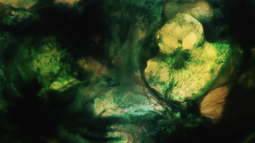 Abstract footage of paint mixing together