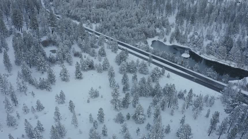 Snow covered forest area with a road and car passing among the snow covered pine trees