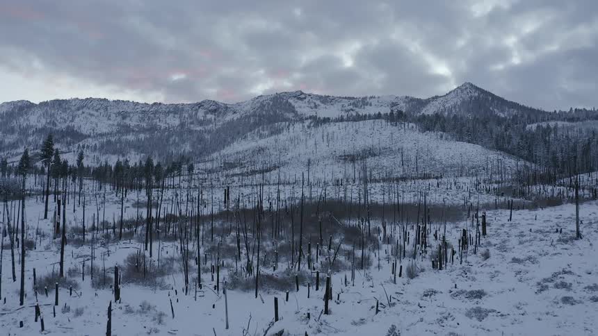 Aerial view of the remains of a burnt wood on the snow covered fields near the mountains at sunset
