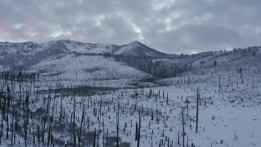 Snow covered mountains and land with many barren trees on a cloudy winter day