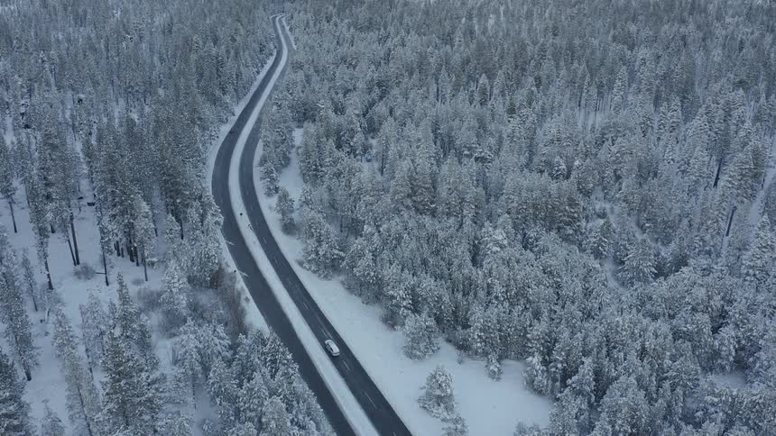 Cars driving down a road in the middle of a snowy forest