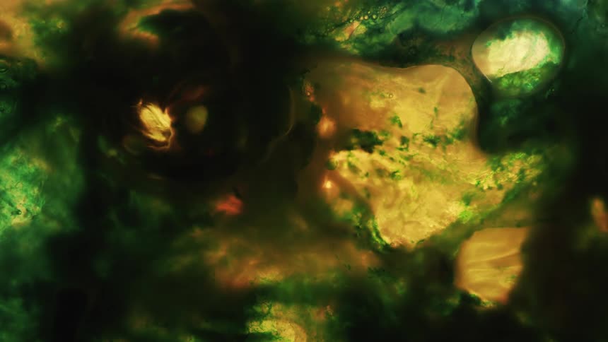 A body of water with yellow receding with other yellow and green shapes