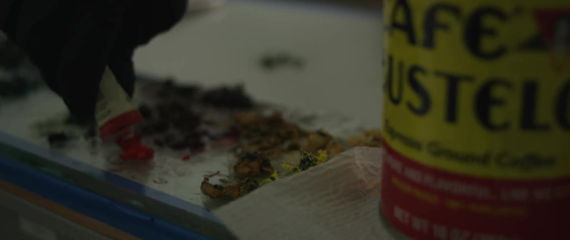An artist squirts paint onto a palette