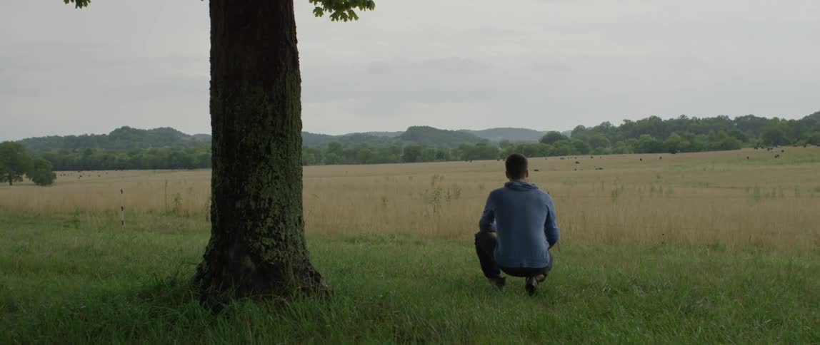 A man is standing by a tree photographing a field